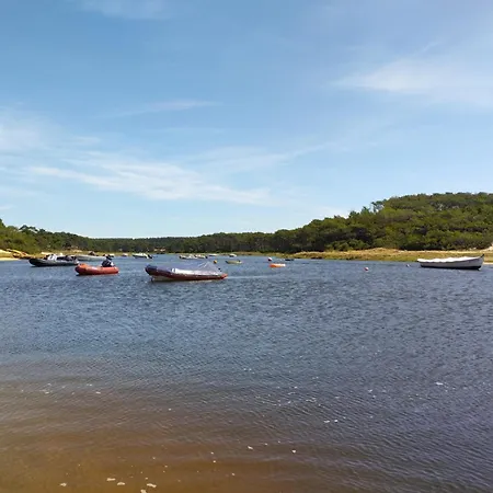 Cork Contis 1 * Lit-et-Mixe