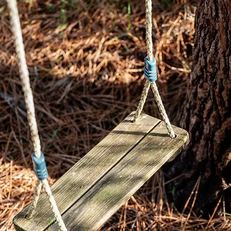 Dom wakacyjny Cork Contis 1