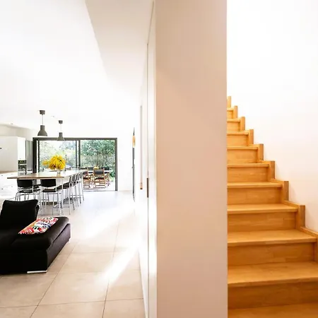 Cork Contis 1 *