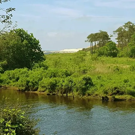 Cork Contis 1 Lit-et-Mixe