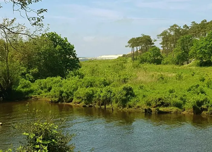 Cork Contis 1 Lit-et-Mixe